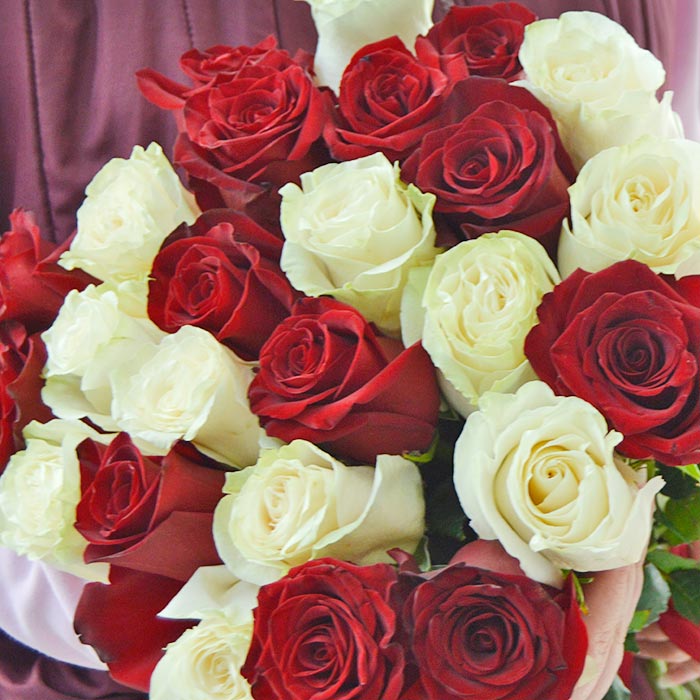Букет из 25 красных и белых роз